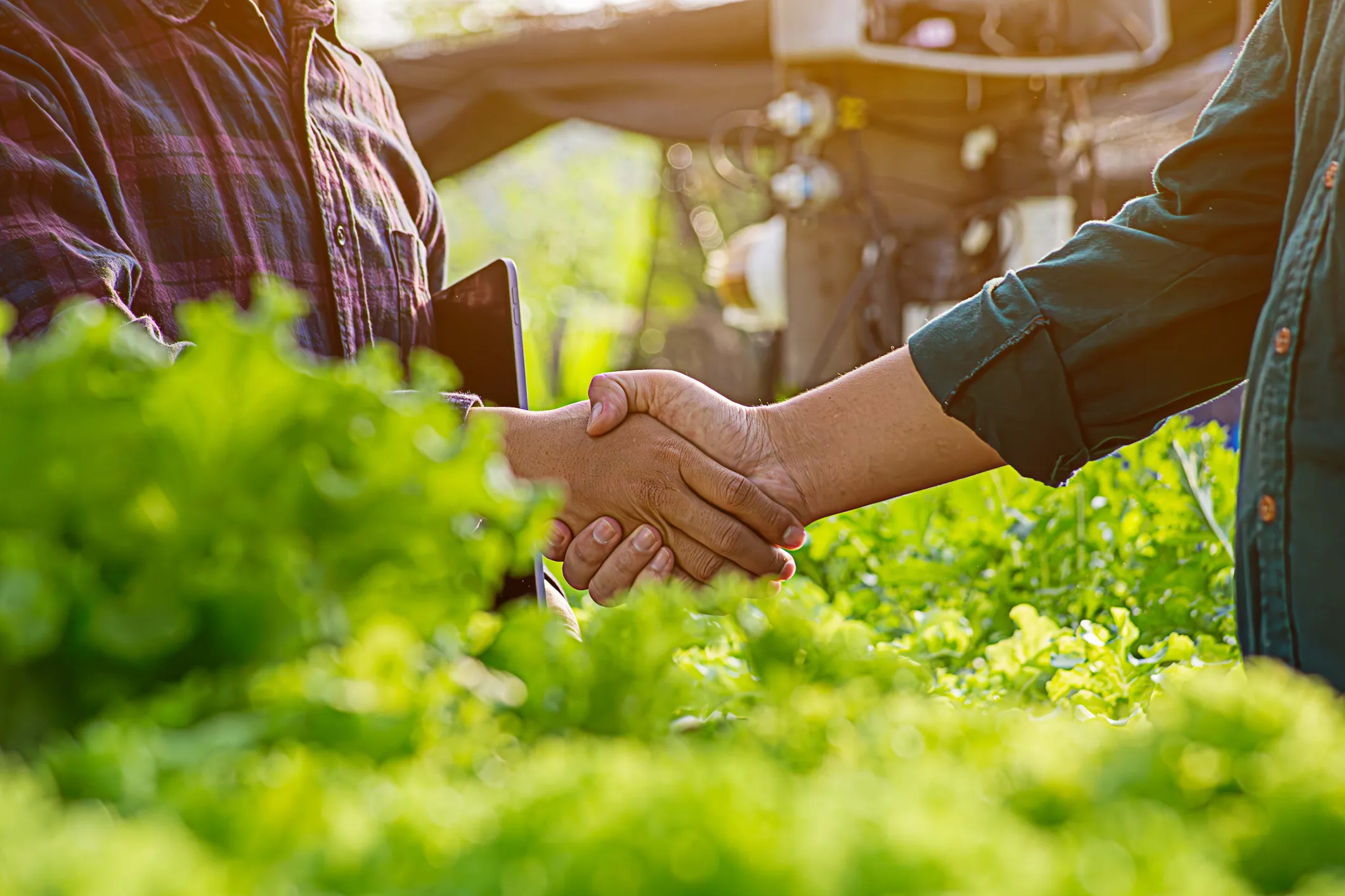 Mitarbeiter im Gartencenter